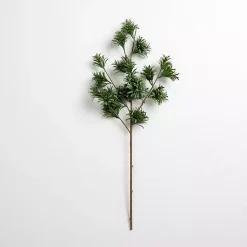 Japanese Pine Stem Stems & Bouquets