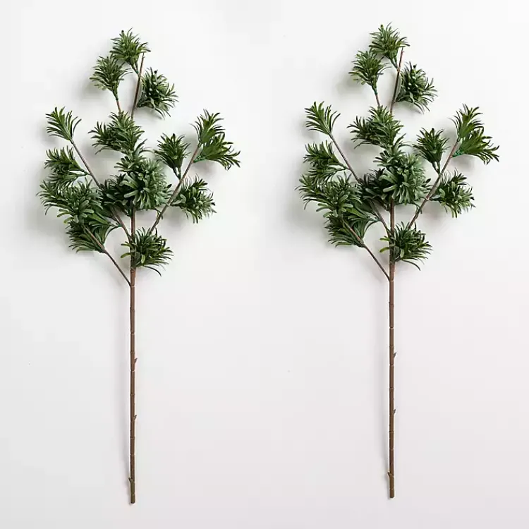 Japanese Pine Stems, Set of 2 Stems & Bouquets