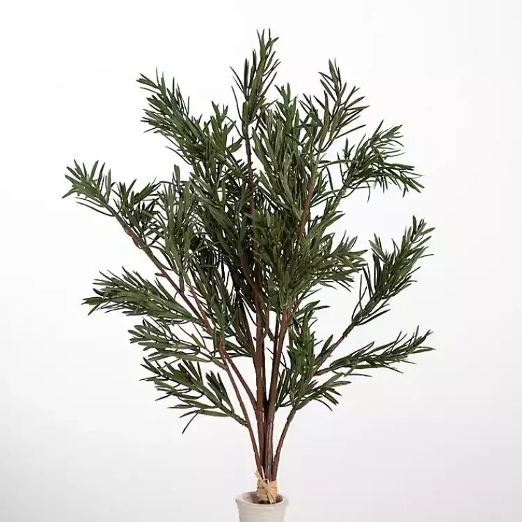 Japanese Pine Stems, Set of 2 Stems & Bouquets