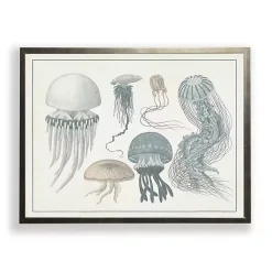 Kirklands Home Framed Art|Jellyfish Collage Bronze Framed Art Print