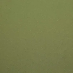 Kirklands Home Outdoor Curtains|Kiwi Cabana Curtain Panel Set, 84 in. Green