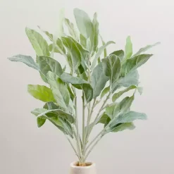 Outlet Lamb's Ear Bundles, Set of 2 Stems & Bouquets