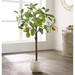 Lemon Tree in White Pot Trees & Topiaries