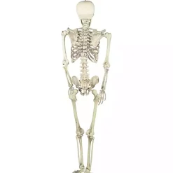 Hot Life Size Outdoor Skeleton Decoration Halloween