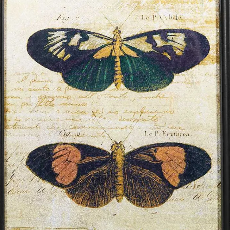 Kirklands Home Wall Quotes & Signs|Literary Butterflies Framed Art Prints, Set of 2