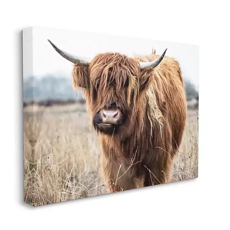 Kirklands Home Canvas Art|Longhorn in Tall Grass Canvas Art Print, 40x30 in. Brown
