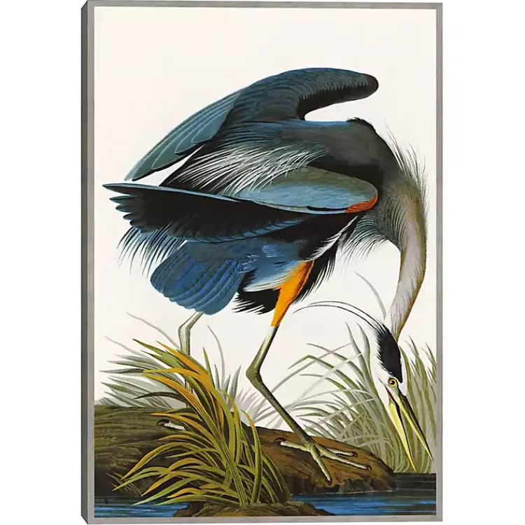 Kirklands Home Canvas Art|Louisiana Heron Framed Canvas Art Print Multi