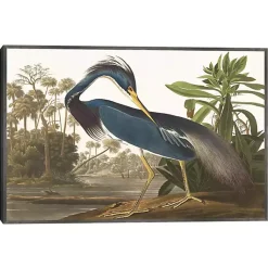 Kirklands Home Canvas Art|Louisiana Heron Framed Canvas Art Print