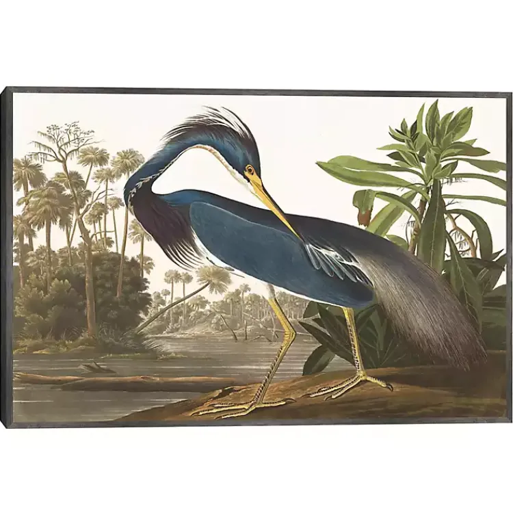 Kirklands Home Canvas Art|Louisiana Heron Framed Canvas Art Print
