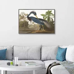 Kirklands Home Canvas Art|Louisiana Heron Framed Canvas Art Print