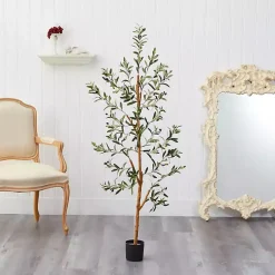 Lucky Olive Tree in Nursery Planter, 54 in. Trees & Topiaries