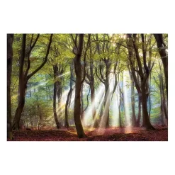 Kirklands Home Canvas Art|Majestic Morning Giclee Canvas Art Print Multi