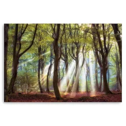 Kirklands Home Canvas Art|Majestic Morning Giclee Canvas Art Print Green