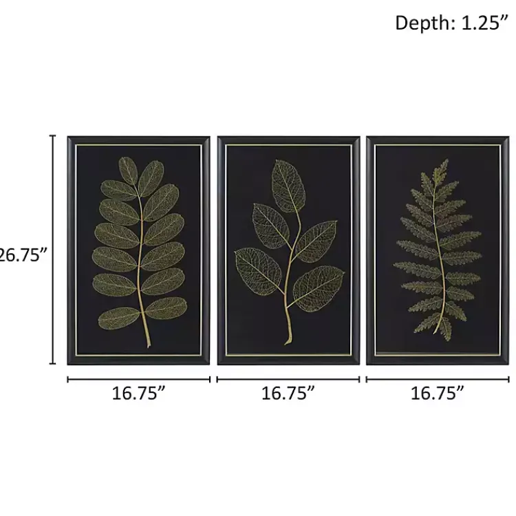 Kirklands Home Framed Art|Martha Stewart Botanical Framed Prints, Set of 3