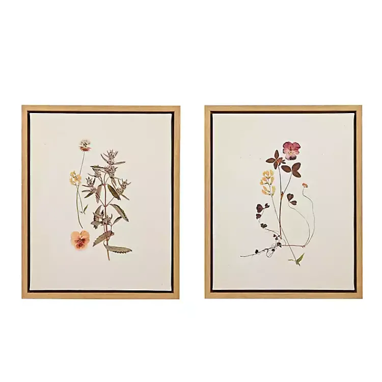 Kirklands Home Framed Art|Martha Stewart French Herbarium Framed Art Set Ivory