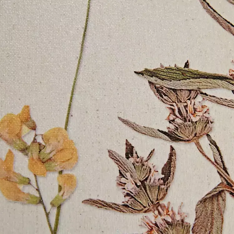 Kirklands Home Framed Art|Martha Stewart French Herbarium Framed Art Set Ivory