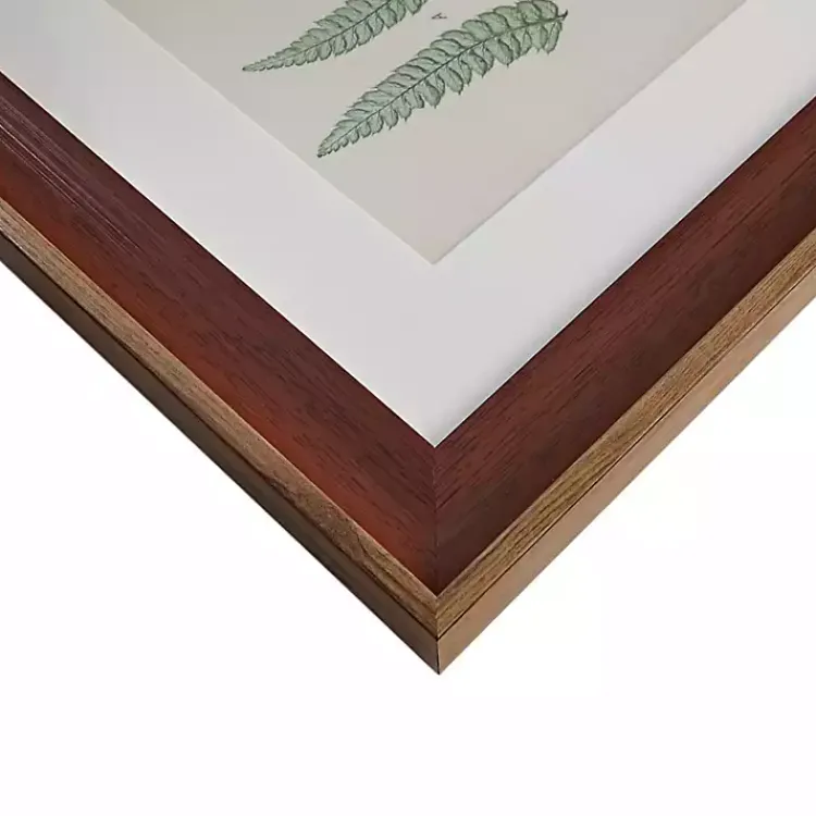 Kirklands Home Framed Art|Martha Stewart Lady Fern Framed Art Print Set