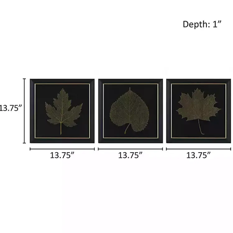 Kirklands Home Framed Art|Martha Stewart Leaf Framed Prints, Set of 3