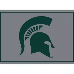 Kirklands Home Area Rugs|Michigan State Area Rug, 4x6