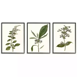 Kirklands Home Framed Art|Minimal Soft Flowers Framed Art Prints, Set of 3