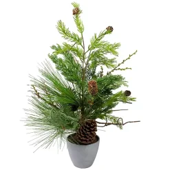 Discount Mixed Pine Potted Christmas Tree Trees & Topiaries