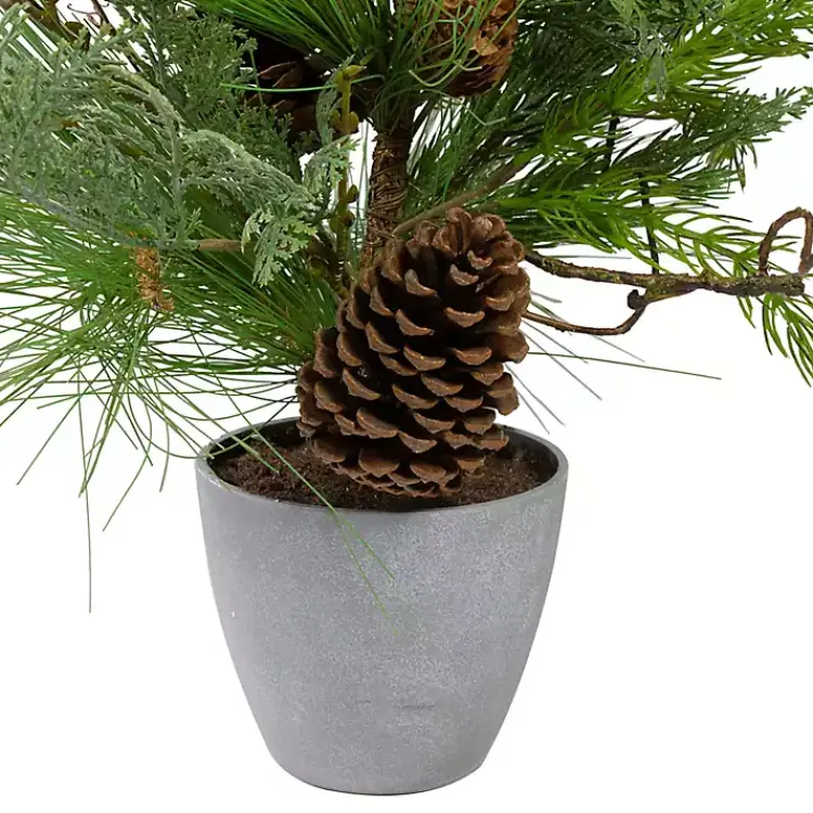 Discount Mixed Pine Potted Christmas Tree Trees & Topiaries