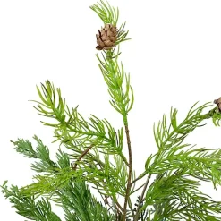 Discount Mixed Pine Potted Christmas Tree Trees & Topiaries