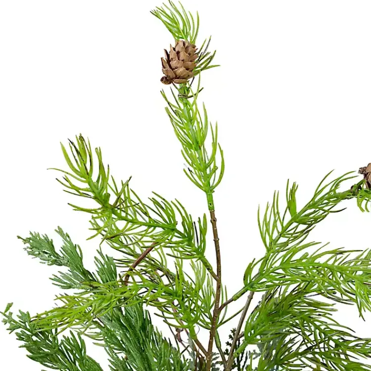 Discount Mixed Pine Potted Christmas Tree Trees & Topiaries