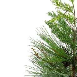 Discount Mixed Pine Potted Christmas Tree Trees & Topiaries