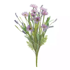 Outlet Mixed Daisies Bushes, Set of 6 Stems & Bouquets