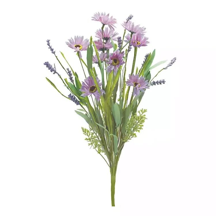 Outlet Mixed Daisies Bushes, Set of 6 Stems & Bouquets