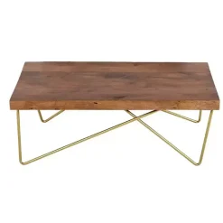 Kirklands Home Coffee Tables|Modern Mango Wood Brass Coffee Table Brown