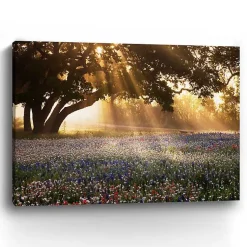 Kirklands Home Canvas Art|Morning Meadow Giclee Canvas Art Print, 48x36 in. Yellow