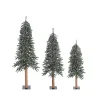 Sale Natural Bark Alpine Christmas Trees, Set of 3 Christmas Trees