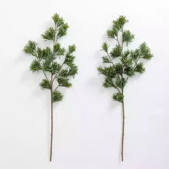 Hot Natural Pine Stems, Set of 2 Stems & Bouquets