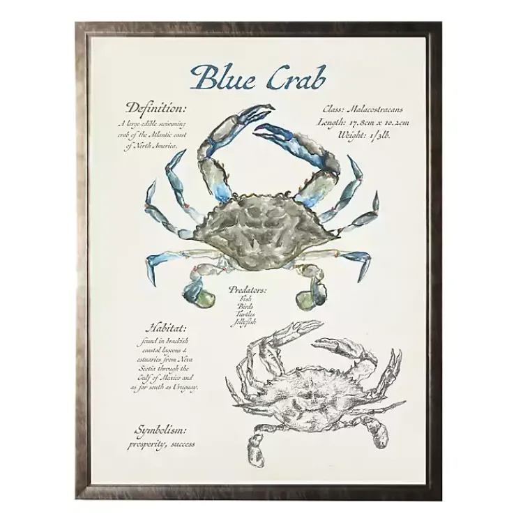 Kirklands Home Framed Art|Nature Study of a Blue Crab Framed Art Print Tan