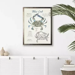 Kirklands Home Framed Art|Nature Study of a Blue Crab Framed Art Print Tan