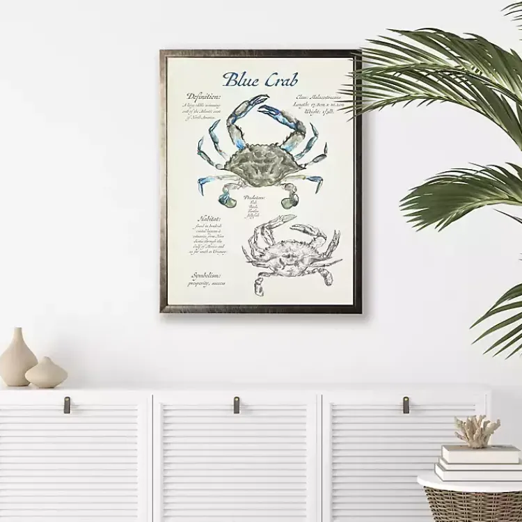 Kirklands Home Framed Art|Nature Study of a Blue Crab Framed Art Print Tan