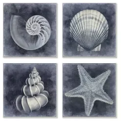 Kirklands Home Framed Art|Nautical Seashells 4-pc. Canvas Art Print Set