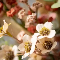 Online Neutral Flowers and Eucalyptus Bouquet Stems & Bouquets