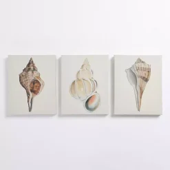 Kirklands Home Canvas Art|Neutral Seashells Canvas Art Prints, Set of 3