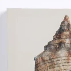 Kirklands Home Canvas Art|Neutral Seashells Canvas Art Prints, Set of 3