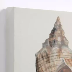 Kirklands Home Canvas Art|Neutral Seashells Canvas Art Prints, Set of 3