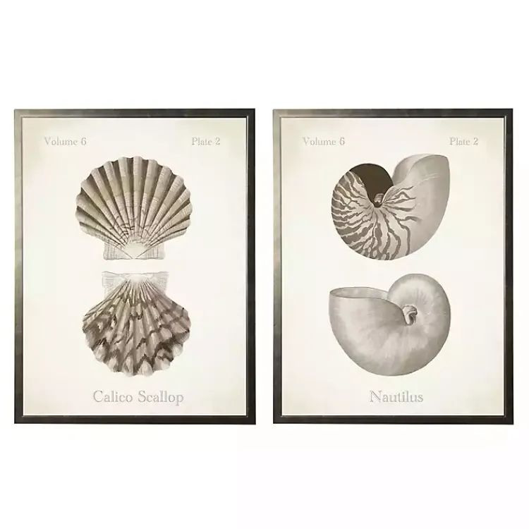 Kirklands Home Framed Art|Neutral Seashells Framed Art Prints, Set of 2