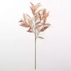 Clearance Neutral Willow Eucalyptus Stem Stems & Bouquets