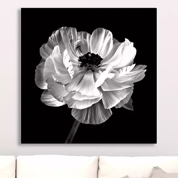 Kirklands Home Canvas Art|Noir Ranunculus Floral Giclee Canvas Art Print