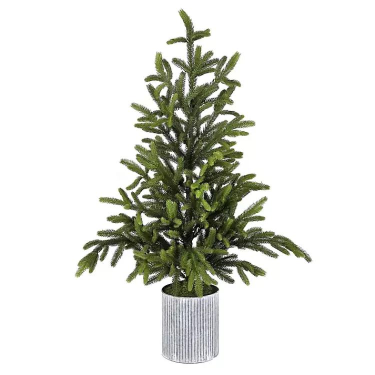 Online Norway Spruce Potted Christmas Tree Christmas Arrangements & Garland