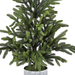 Online Norway Spruce Potted Christmas Tree Christmas Arrangements & Garland