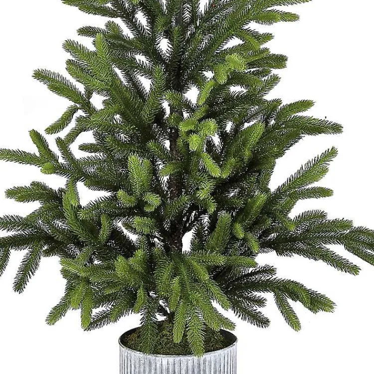 Online Norway Spruce Potted Christmas Tree Christmas Arrangements & Garland
