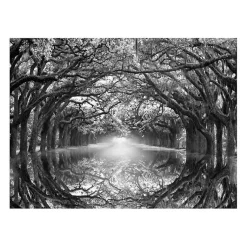 Kirklands Home Canvas Art|Oak Alley Reflection Giclee Canvas Art Print